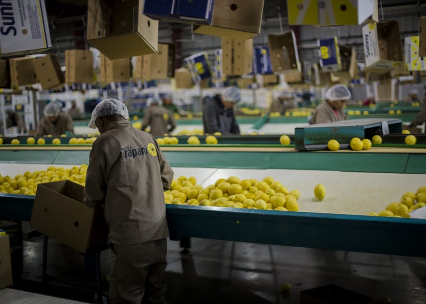 trapani-MG_9735-scaled